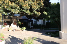 Enlarge photo 25