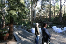 Enlarge photo 1