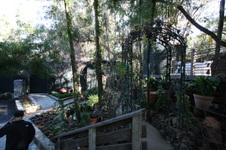 Enlarge photo 30
