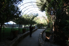 Enlarge photo 33