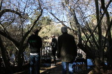 Enlarge photo 34