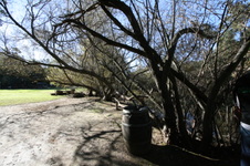 Enlarge photo 35