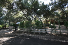 Enlarge photo 38