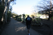 Enlarge photo 39