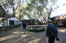 Enlarge photo 45