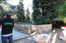 Enlarge photo 47