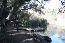 Enlarge photo 48