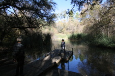 Enlarge photo 49