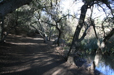 Enlarge photo 50