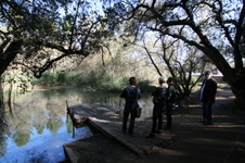 Enlarge photo 51