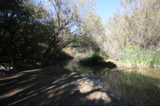 Enlarge photo 52