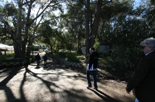 Enlarge photo 53