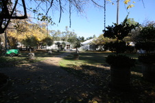 Enlarge photo 55