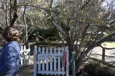Enlarge photo 56