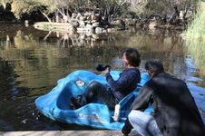 Enlarge photo 58