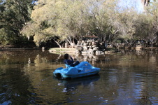Enlarge photo 60
