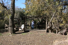 Enlarge photo 61