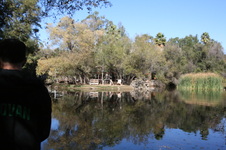 Enlarge photo 62