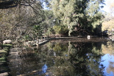Enlarge photo 63