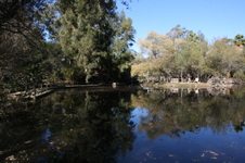 Enlarge photo 64