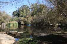 Enlarge photo 65