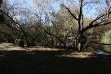 Enlarge photo 66