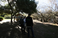 Enlarge photo 67