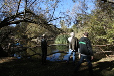 Enlarge photo 68