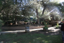 Enlarge photo 70