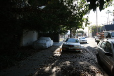 Enlarge photo 30