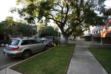 Enlarge photo 62