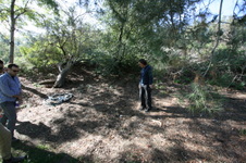 Enlarge photo 19