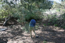 Enlarge photo 22