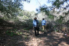 Enlarge photo 24