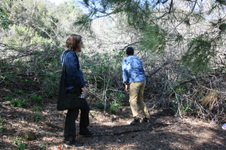 Enlarge photo 25