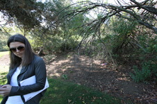 Enlarge photo 28