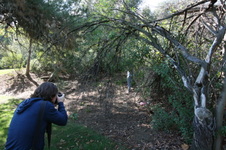 Enlarge photo 29