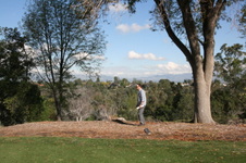 Enlarge photo 36