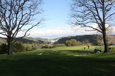 Enlarge photo 50