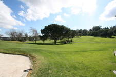 Enlarge photo 51