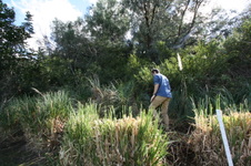 Enlarge photo 54