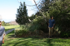 Enlarge photo 59