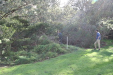 Enlarge photo 61