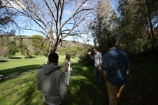 Enlarge photo 64