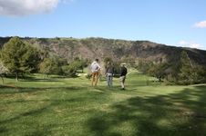 Enlarge photo 65