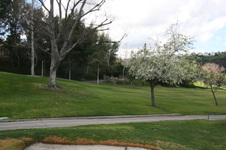Enlarge photo 69