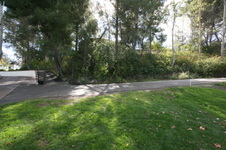Enlarge photo 73