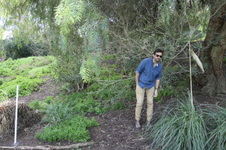 Enlarge photo 75