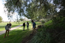 Enlarge photo 77