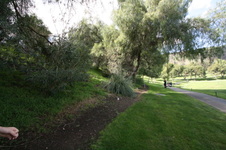 Enlarge photo 79